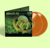 Salmonella Dub & The NZSO - Feel The Seasons Change
