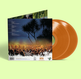 Salmonella Dub & The NZSO - Feel The Seasons Change