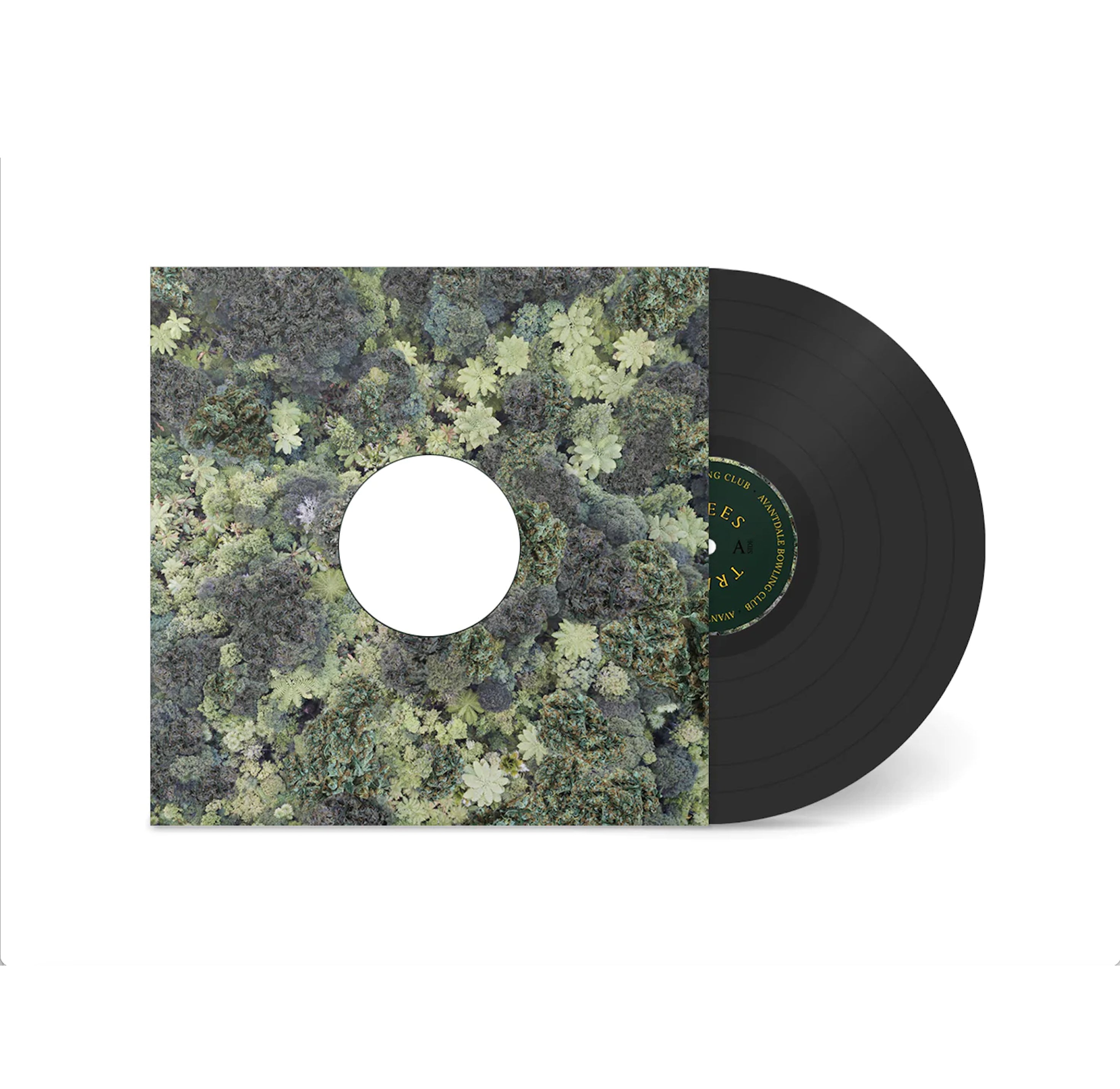ALBUM FEATURE: AVANTDALE BOWLING CLUB - TREES