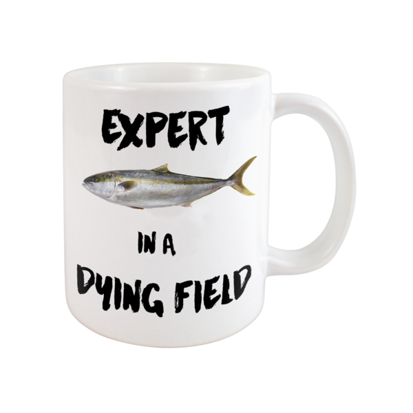 The Beths – Expert In A Dying Field Coffee Mug