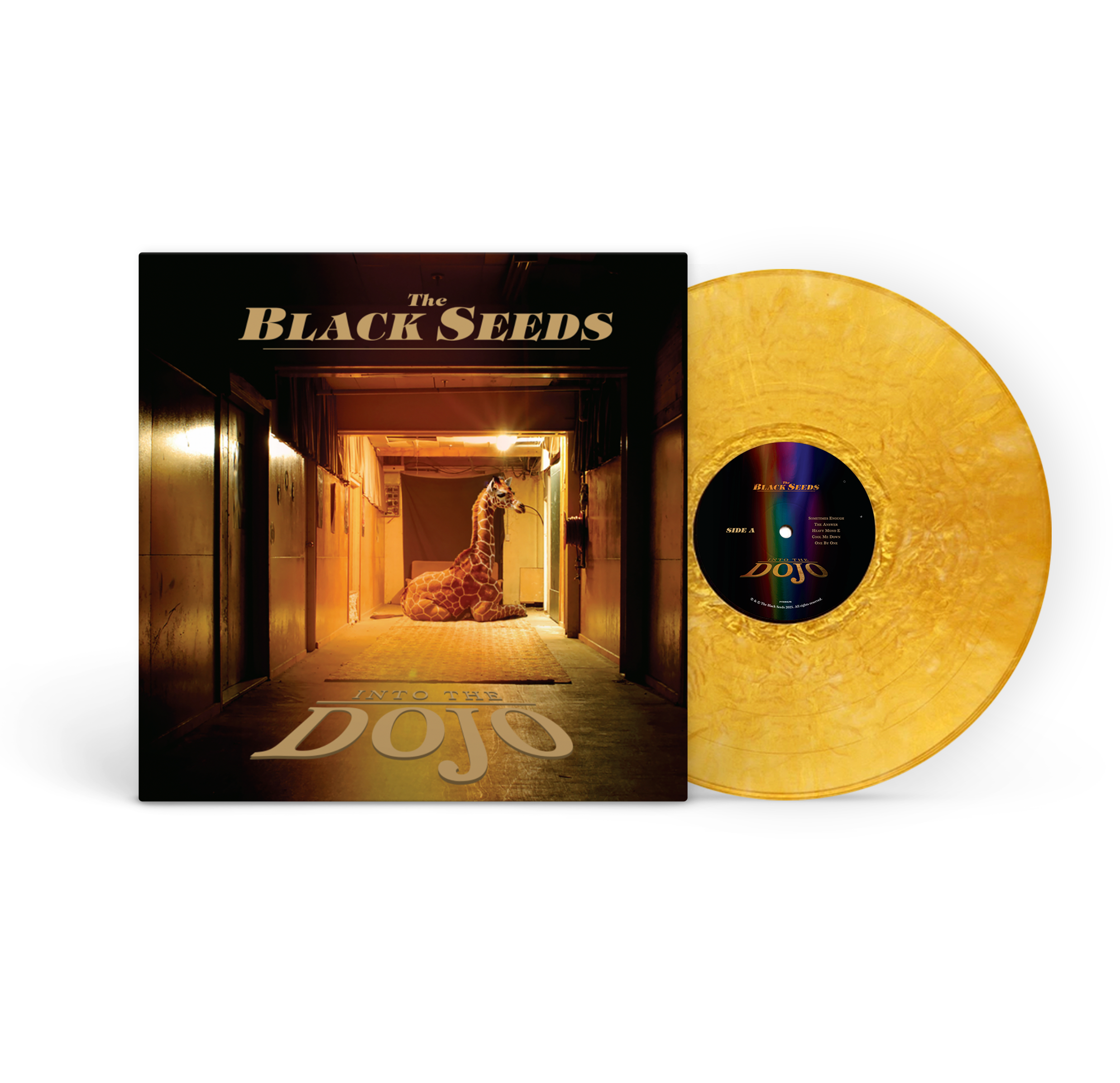 The Black Seeds - Into The Dojo