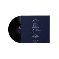 Marlon Williams - Te Whare Tīwekaweka LP (Pre-Order)