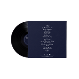 Marlon Williams - Te Whare Tīwekaweka LP Vinyl (Pre-Order)