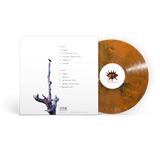 Salmonella Dub - Killervision (Pre-Order)